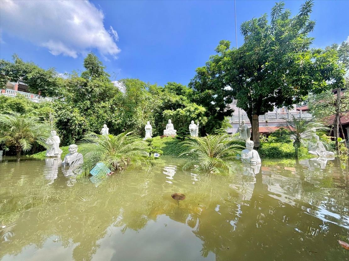 lu lut mien bac_nguoiphattu_2.jpeg